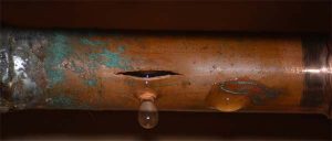 Davie water leak detection